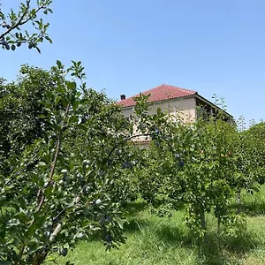 Mance , Berat Albania